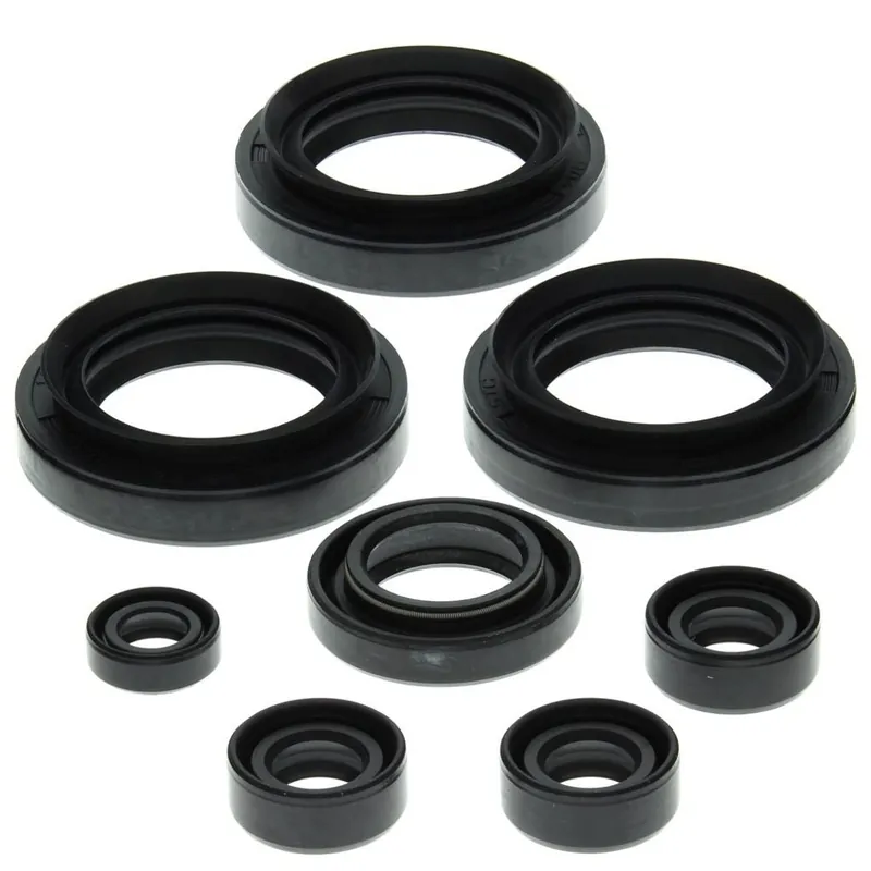 Sleva Sada gufer motoru WINDEROSA 822152