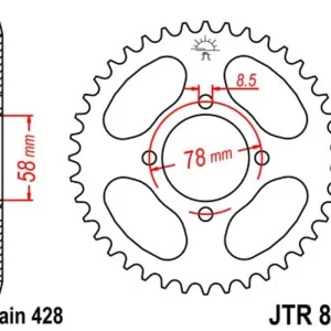 Akce Řetězová rozeta JT JTR 810-37 37 zubů, 428