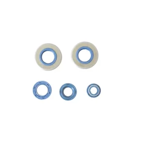 Akce Sada gufer motoru ATHENA P400130400200