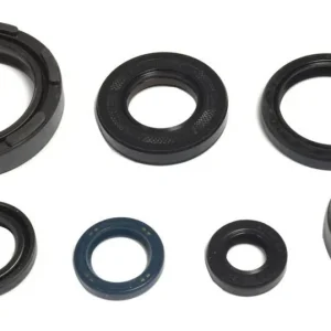 Akce Sada gufer motoru ATHENA P400485400254